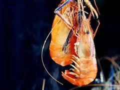 -初色海鲜自助(万丰路店)