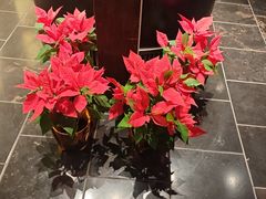 -燕春园中餐厅-北大博雅国际酒店