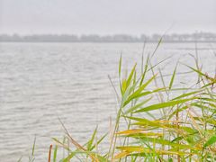 -野鸭湖国家湿地公园