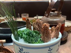 -蘑界·野生菌火锅(深业上城店)