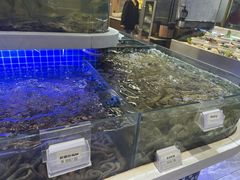 -大众海鲜(巨龙北路店)