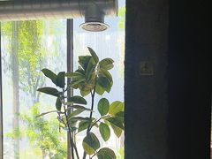 -外婆家(杭州马塍店·杭帮菜名店)