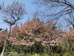 -宜兴龙背山森林公园