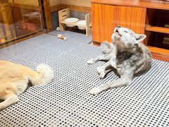 -大江户·温泉洗浴(浑南店)