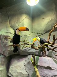 -Zoolung Zoolung动物主题公园(海信广场店)