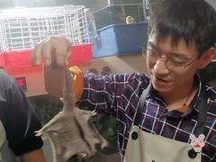 -藦茜花园宠物主题亲子互动体验馆(国顺东路店)