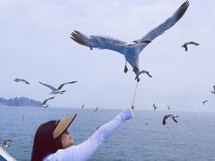 -海驴岛(荣成市)