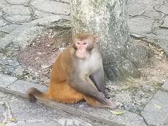 -桂林七星景区