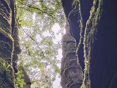 -梭布垭石林景区