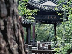 -上海佘山国家森林公园天马山园