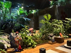 -森味薪火烧•烧鸟居酒屋•日本料理(望京店)