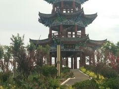 -千年枣林游览区