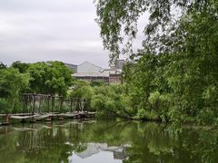 -长兴太湖图影湿地文化园