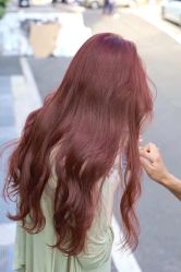 -依格宝IL COLPO明星店