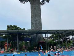 -苏州乐园森林水世界