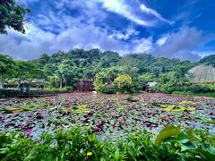-野象谷景区