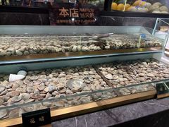 -安亭老街
