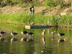 -东来顺饭庄(上地华联店)