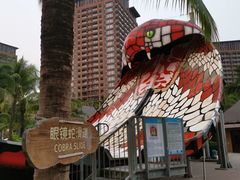 -亚马逊丛林水乐园