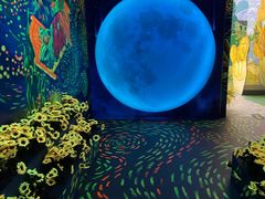 -梵高星空艺术馆(北京旗舰店)