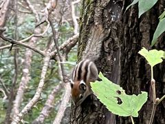 -白草畔自然风景区