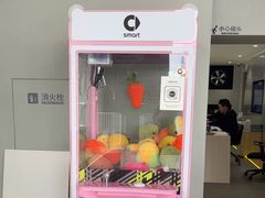 -上海浦东smart汽车全功能店(金桥店)