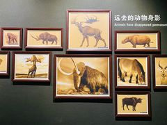 -大庆市博物馆