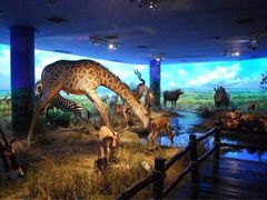 -郑州自然博物馆(惠济区)