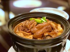 红焖东山羊-万豪中餐厅·粤菜·北京粤财JW万豪酒店