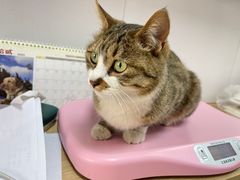 -邢大夫动物医院