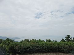 -雨花胜境