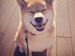 -奥黑尔国际机场