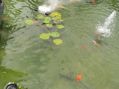 -濮园 · 四合院餐厅