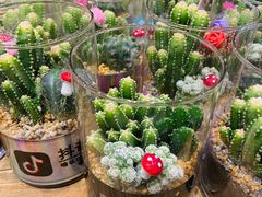 -豆豆花艺(新光天地店)