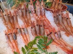 -Mr.Fish鱼鲜生海鲜放题(高德置地冬广场店)