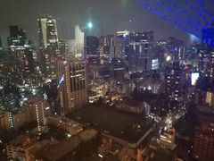 -东京塔海贼王主题公园