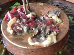 -清真·田园居家酸菜牛肉烤火锅(凤霞路店)