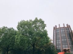 -上海滨江森林公园