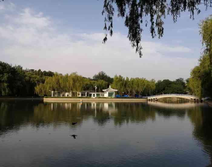 青年湖公園-