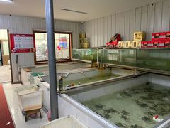 -七的湖·江南蟹舫·阳澄湖农家菜(蟹舫苑店)