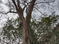 -幕燕滨江·燕子矶公园