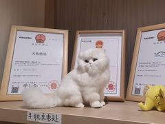 -大鱼心理咨询工作室(静安寺店)