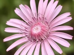 -春花秋色城市公园