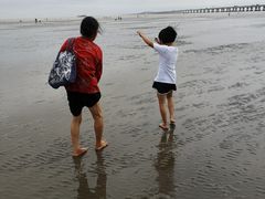 -南汇嘴观海公园