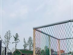 -空港花田景区