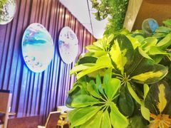 -嘉年华大酒店琴湾-自助餐厅