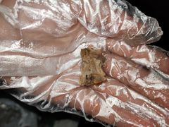 -张鸭子重庆特产卤味小吃(未来国际店)