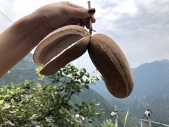 -黑河国家森林公园