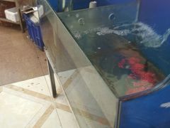 -大城·烧烤海鲜大排档(台东店)