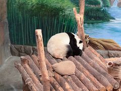 -青藏高原野生动物园